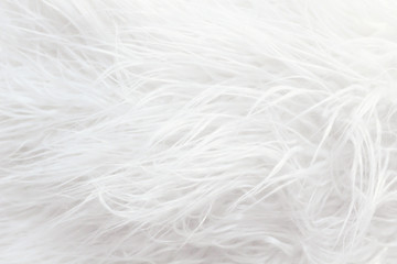 Obraz premium White fluffy fur texture for background