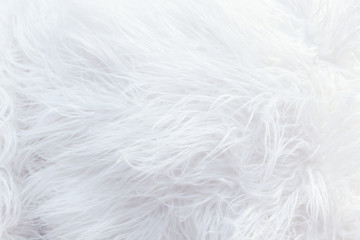 White fluffy fur texture for background