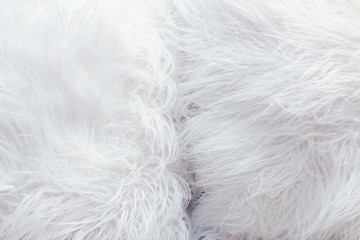 White fluffy fur texture for background