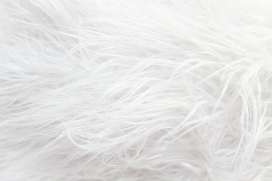 White fluffy fur texture for background