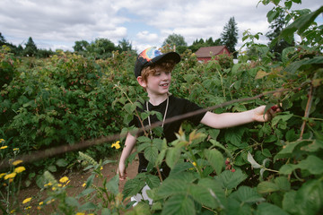 boy picking berries 