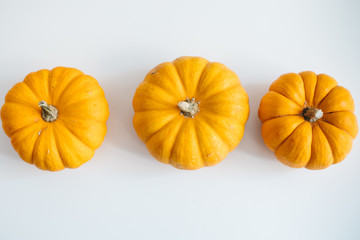Fresh pumpkin isolated on white background. For Halloween, thanksgiving holiday and Autumn theme.