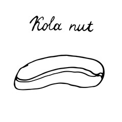 Hand painted nut on an isolated white background. Black contour stake nut. Vector illustration.