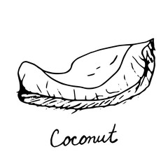 Hand painted nut on an isolated white background. Black outline coconut. Vector illustration.