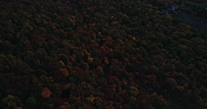 Autumn forest drone aerial shot at sunset. Overhead view of foliage trees in Hungary. Inspiring autumn season landscape panorama.