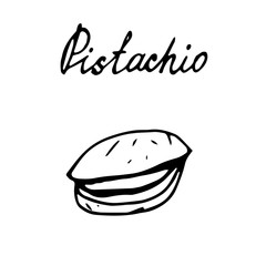 Hand painted nut on an isolated white background. Black outline pistachio. Vector illustration.