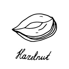 Hand painted nut on an isolated white background. Black contour hazelnut nut. Vector illustration.