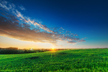 Green Field and Beautiful Sunset..