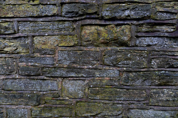 British Winter Wall Texture