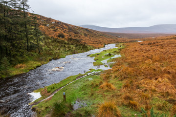 autumn landscape in the Wicklow  mountains