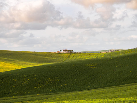 green Tuscan hills on a sunny spring day