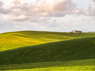 green Tuscan hills on a sunny spring day
