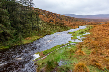 autumn landscape in the Wicklow  mountains
