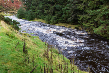autumn landscape in the Wicklow  mountains