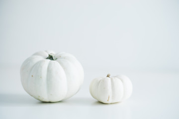 Fresh pumpkin isolated on white background. For Halloween, thanksgiving holiday and Autumn theme
