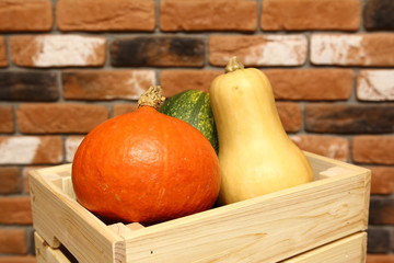 Eco vegetables - hokkaido pampkin, butternut squash, pasta pumpkin in wooden box on bricks background