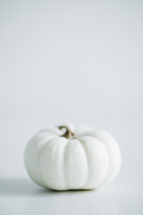 Fresh pumpkin isolated on white background. For Halloween, thanksgiving holiday and Autumn theme