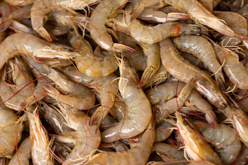 Countless fresh shrimp. Fresh marine food. Proteins of animal origin.