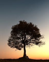 Silhouette of tourist sitting under majestic tree at evening mountains meadow at sunset. Dramatic...