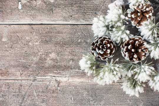 Snow Covered Atlas Cedar Branch and Pine Cones on Wood