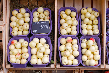 Necticut (hybrid of nectarine, apricot and plum) in purple carton packs at the market