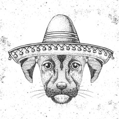 Hipster animal dog wearing a sombrero hat. Hand drawing Muzzle of dog