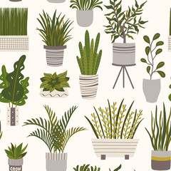 Home potted plants seamless pattern. Houseplants in pots graphic design. Flat vector illustration in cozy Scandinavian hygge style.