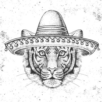 Hipster animal tiger wearing a sombrero hat. Hand drawing Muzzle of tiger