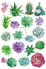 Fotobehang Tropische planten set of succulents on a white isolated background, watercolor, botanical illustration