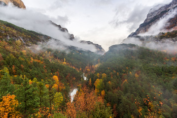 Autumn fall in Ordesa National Park