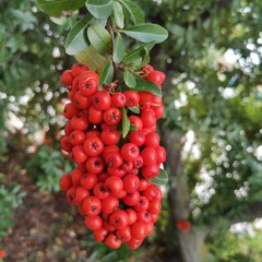 Zona de Castilla La Mancha