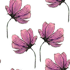 Seamless pattern with cosmea flowers. Hand drawn with colored pencils. Botany sketch. Pink and purple. Black line. Spring and summer. For postcards, wallpaper, scrapbooking, textile and wrapping paper