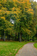 City park in Eindhoven, autumn, Netherlands. Nature.