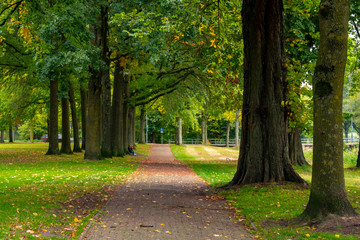 Fototapeta na wymiar City park in Eindhoven, autumn, Netherlands. Nature.