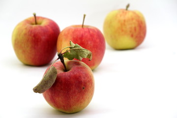 Äpfel