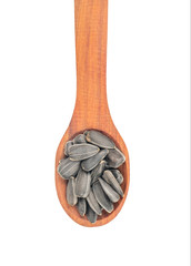 Sunflower seeds in a spoon