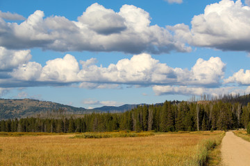 Fototapeta na wymiar Dirt road through a meadow