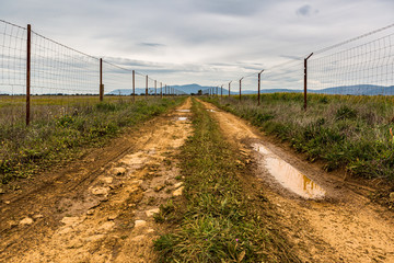 Fototapeta na wymiar Road trip in Cabañeros National Park, La Mancha. Spain. (no people road horizontal landscape)