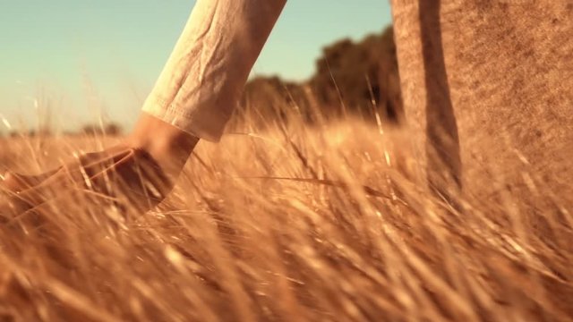 b roll farmer touching yellow grain at harvest time golden light sunrise women at agricultural