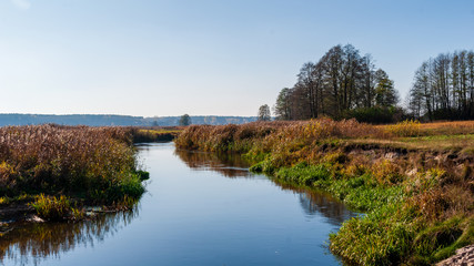 Piękna polska złota jesień, Dolina Górnej Narwi, Podlasie, Polska © podlaski49