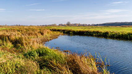 Piękna polska złota jesień, Dolina Górnej Narwi, Podlasie, Polska © podlaski49