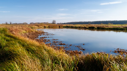 Piękna polska złota jesień, Dolina Górnej Narwi, Podlasie, Polska © podlaski49