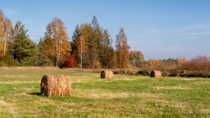 Piękna polska złota jesień, Dolina Górnej Narwi, Podlasie, Polska © podlaski49