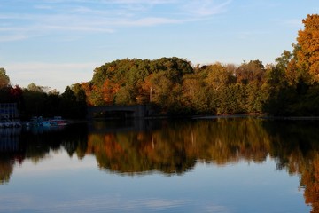 The beauty of the fall trees at sunset in the park.