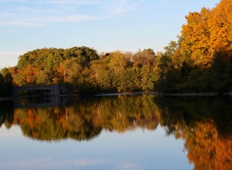 The color of the autumn trees at the lake in the evening.