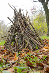 Woodland round you in the park, handmade house.