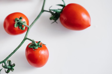 Cherry tomatoes. Tomatoes cherry branch isolated on white background