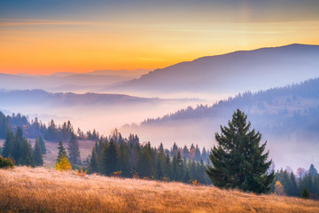 Plakat Sunrise in mountains with fog