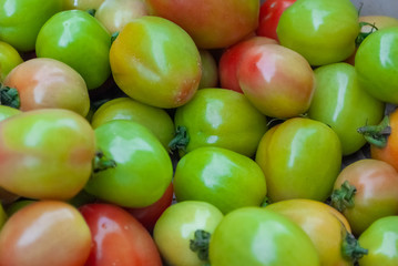 tomato