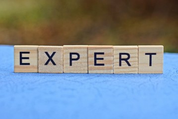 word expert made of brown wooden letters on a blue table